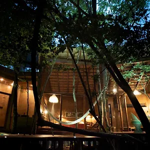 Ojo De árbol, Boutique In The Jungle. Relax Tulum